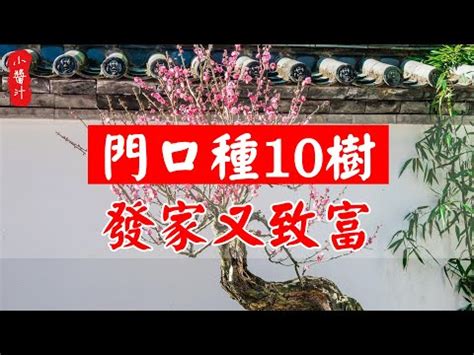 家門口種扁柏